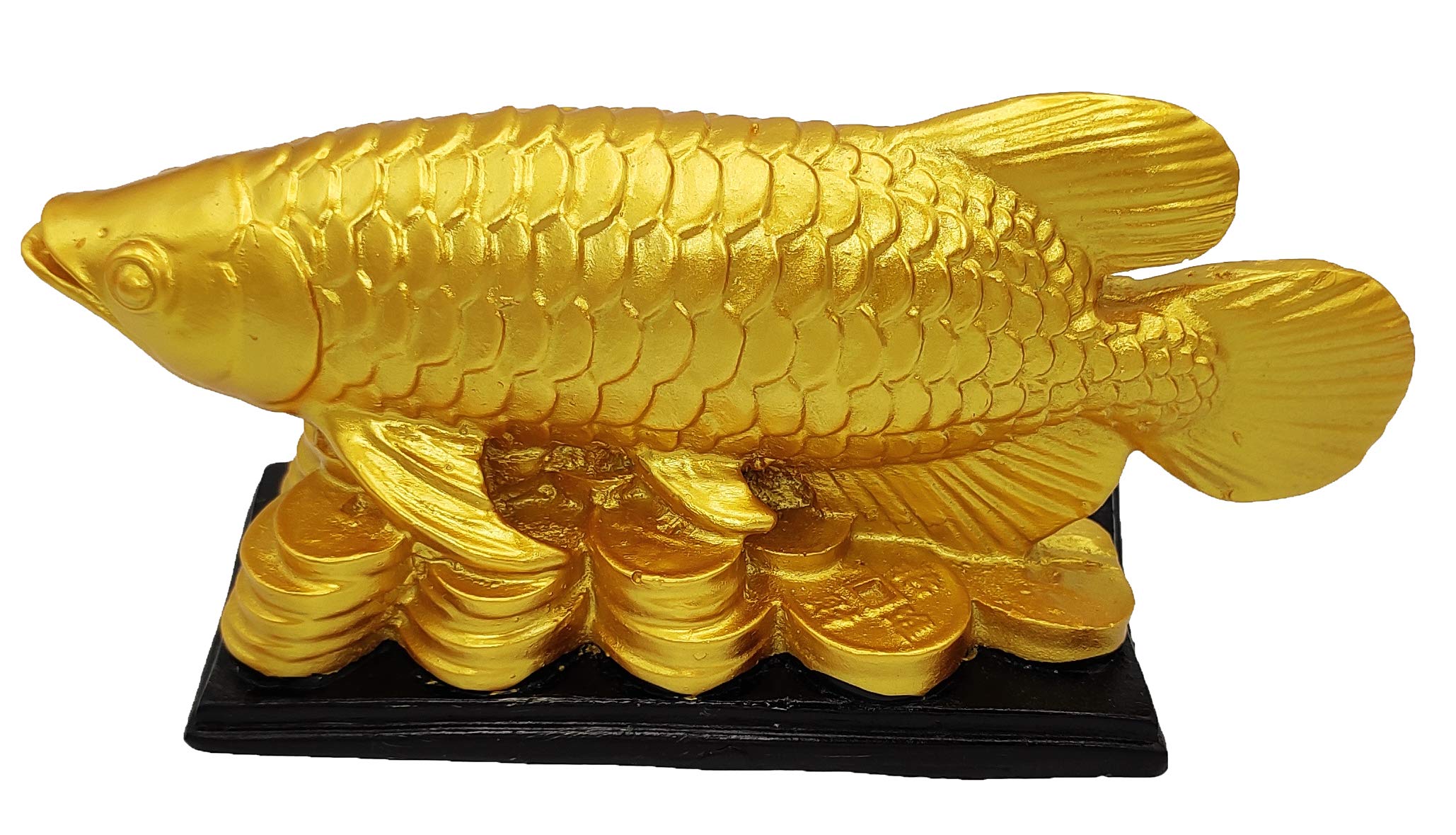 Golden Arowana Fish