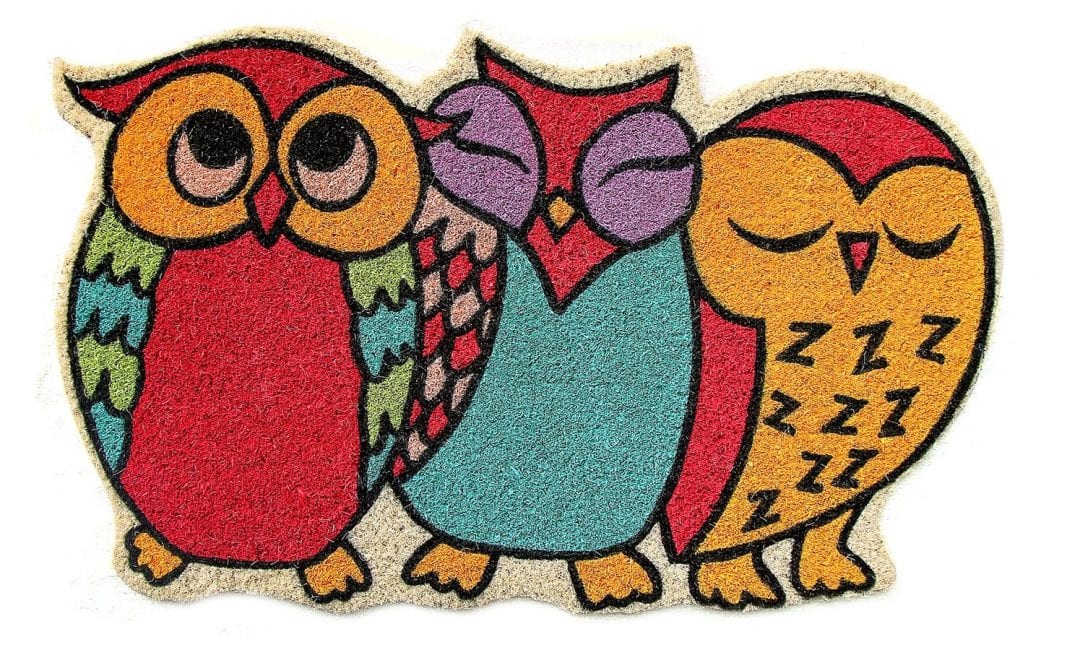 Owl Shape Coir Mat